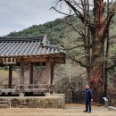 생의찬가 이미지