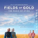 "황금 들판" Fields Of Gold - 켈틱 우먼 vs 베네데타 카레타 vs 스팅(원곡) 비교 감상 이미지