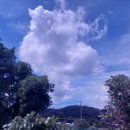 샘머리초교병설 이미지