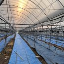 송아리농장 이미지