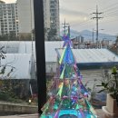 마레속초 | 마레속초 방문후기: 강원도 속초 맛집