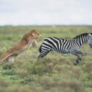 (주)다미 이미지