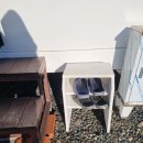 푸른고래 카라반 캠핑 | [포항] 오션뷰 감성캠핑 푸른고래카라반 내돈내산 후기