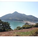 나폴리(Napoli) Daum카페