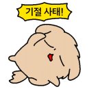 유풍상회