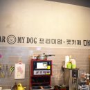 디어도그 이미지