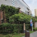 수정여관 이미지