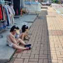 천주교하망동성당 네이버블로그