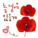 진흥주방 이미지