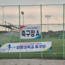 진주스포츠파크(축구장) | 진주 스포츠파크 / 진주 축구장 / 경상남도 축구장 / 축구장 리뷰 / 체험 리뷰