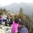 서분심