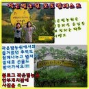 작은별농원 네이버블로그