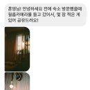 윤노을 이미지