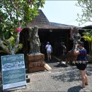 나비부화장 이미지