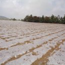 무릉1리마을회관 이미지