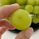 양감농장 이미지