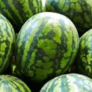 대구상회 이미지