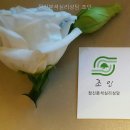 서초4동 | 정신분석심리상담 조인 상담 선택의 핵심 포인트는?