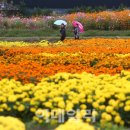 향기가득길 이미지