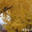 원산중앙로 이미지