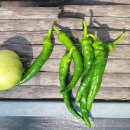 작은풍경 이미지