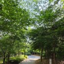 2020-주146 | 감사행성프로젝트 41기 마무리 줌/여선교회 모임_들밥차반, 달다곰이/CPIC 7주차 수업