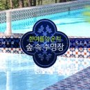 블랙트리하우스 이미지