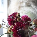 꽃 클래스 화훼장식기능사 이미지