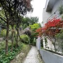 원터길 45 (1) | 등산 초보의 청계산 등산 코스 청계산입구역 주차장 시작