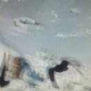 황보장 | 생선을바로가공