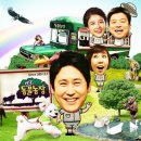 동물농장 - 양산시 양산역로 85 | 동물농장