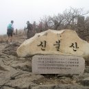 250301 신불산 (영알복합센터-간월재-신불산-영축산-지산마을) 이미지