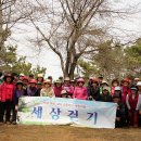 해오름풀꽃 Daum카페