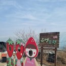 유영농장 이미지