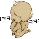 헤어미가엘 이미지