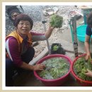 리버(B)펜션 이미지