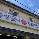 양푼이동태탕 | 인천 부평 청천동 가성비 맛집 부평양푼이동태탕 내돈내산 후기
