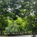 샛들민박 이미지