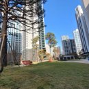 개포조은공인중개사사무소 이미지