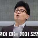 "목련이 피는 봄이 오면 김포는 서울이 될 수 있을 것입니다." 이미지