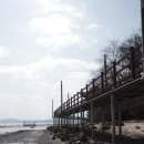 빛과갯벌-1 | 서산 웅도 연륙교 물길 출사, 리코 GR4 네거티브 모드로 담은 갯벌 S자 실루엣 후기