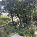 서윤농장 이미지