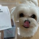 버디키친 이미지