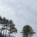 카페 랜드스케이프(LANDSCAPE) 이미지