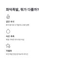 최고족 네이버블로그