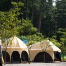 자연에 품 이미지