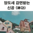 백기현세무사 이미지