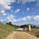 낙동강체육공원 파크골프장좌측 | 칠곡여행, 낙동강역사너울길을 걷다