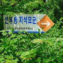 선부동 지석묘군 이미지