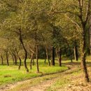 가송민박 이미지